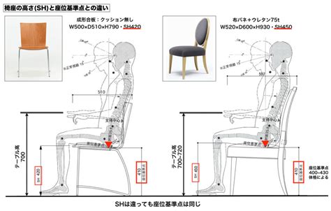 椅子標準尺寸|寸法から見る椅子の選び方！適切な高さやテーブルとのバランス。